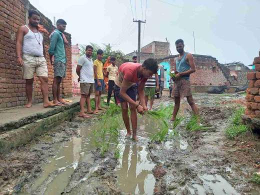 सड़क मरम्मत को लेकर किसानों का अनोखा विरोध, जर्जर सड़क पर बोया धान 